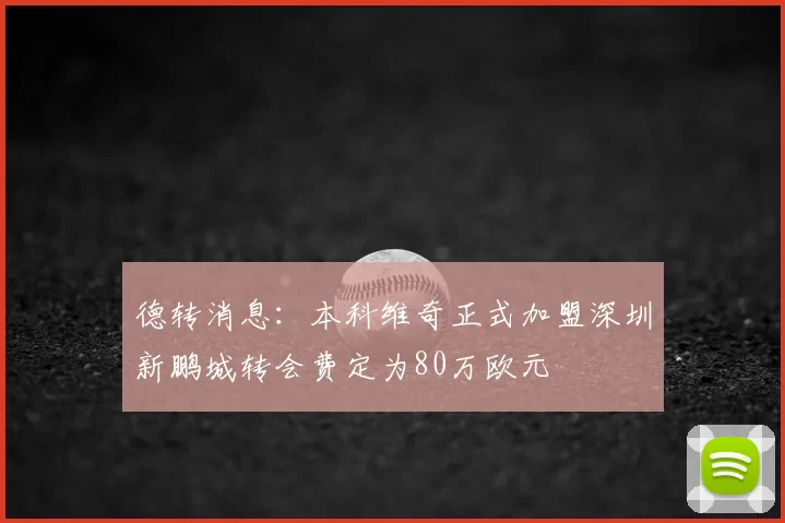 德转消息：本科维奇正式加盟深圳新鹏城转会费定为80万欧元
