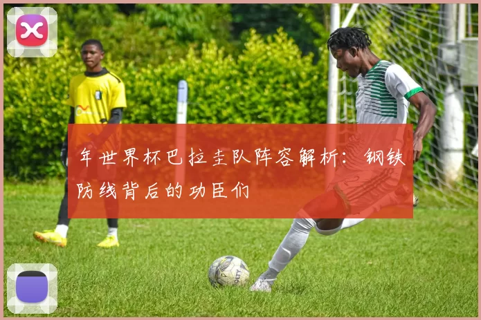 年世界杯巴拉圭队阵容解析：钢铁防线背后的功臣们