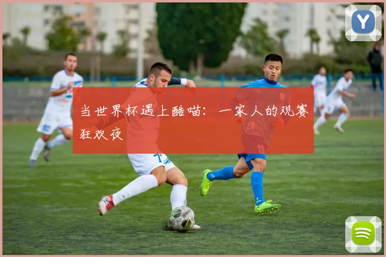当世界杯遇上酷喵：一家人的观赛狂欢夜