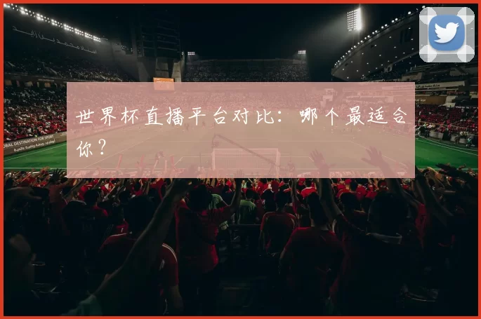 世界杯直播平台对比：哪个最适合你？