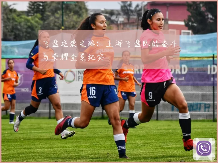 飞盘逆袭之路:上海飞盘队的奋斗与荣耀全景纪实