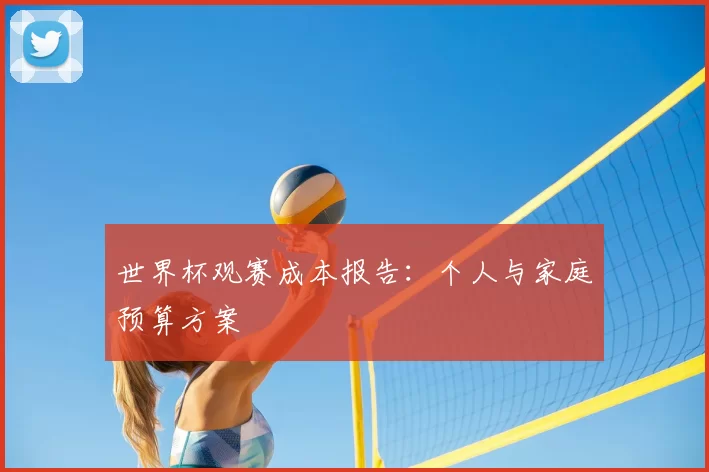 世界杯观赛成本报告:个人与家庭预算方案