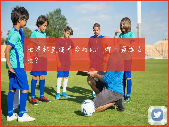世界杯直播平台对比：哪个最适合你？