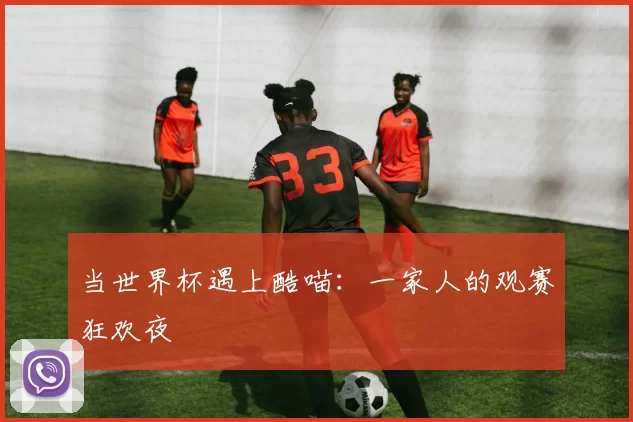 当世界杯遇上酷喵：一家人的观赛狂欢夜